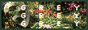 Text 'grey' repeated three times vertically over lush background with skull